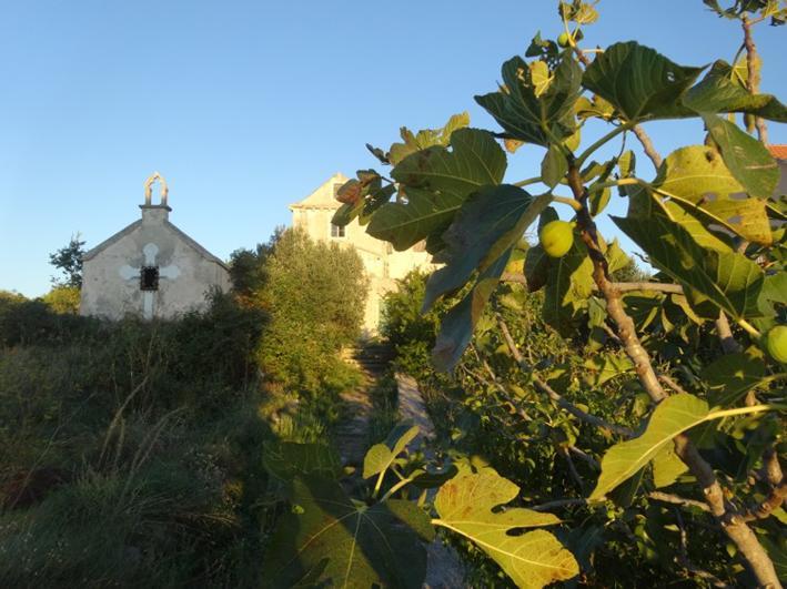 Vila D House Authentic Zlarin House, Relaxing Courtyard And Terrace Exteriér fotografie